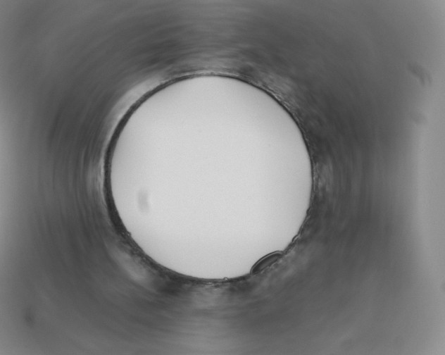 X0000113040148200910081218