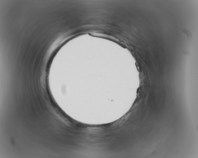 X0000113040150200910081218