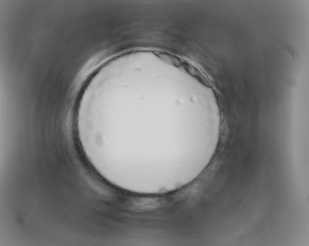X0000113040151200910081218