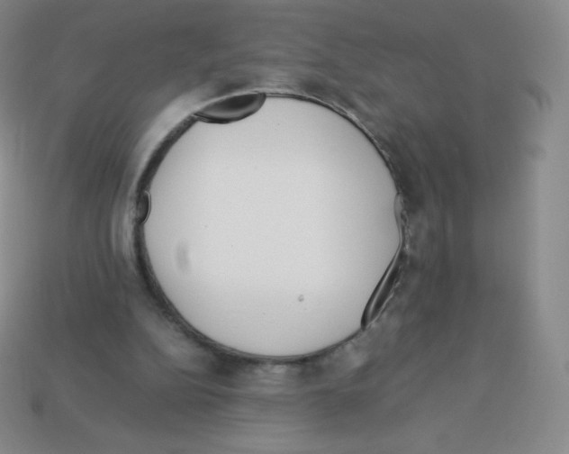 X0000113040152200910081218