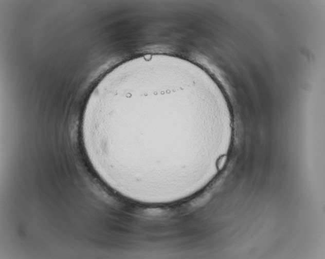 X0000113040153200910081218