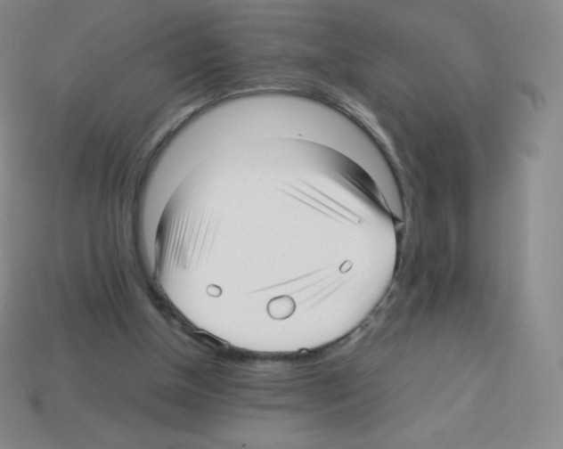 X0000113040154200910081218