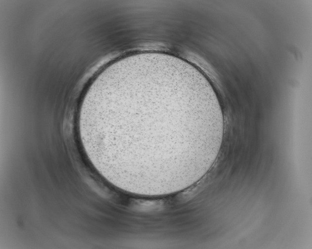 X0000113040155200910081218