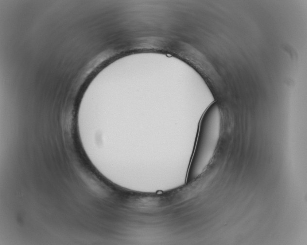 X0000113040156200910081218