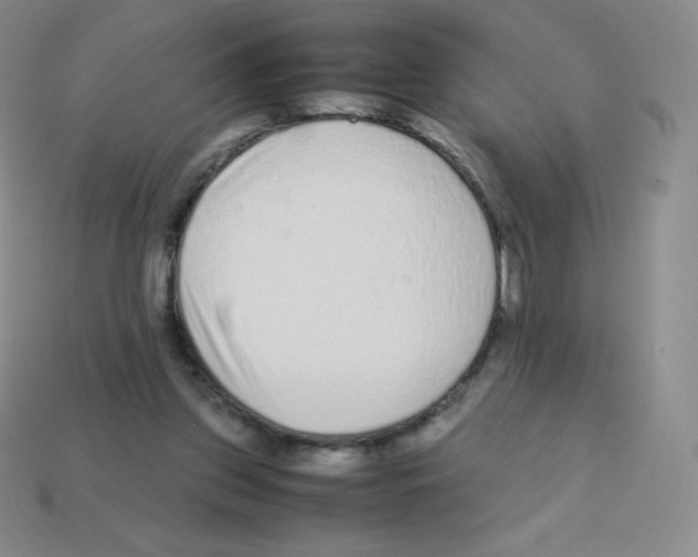 X0000113040157200910081218