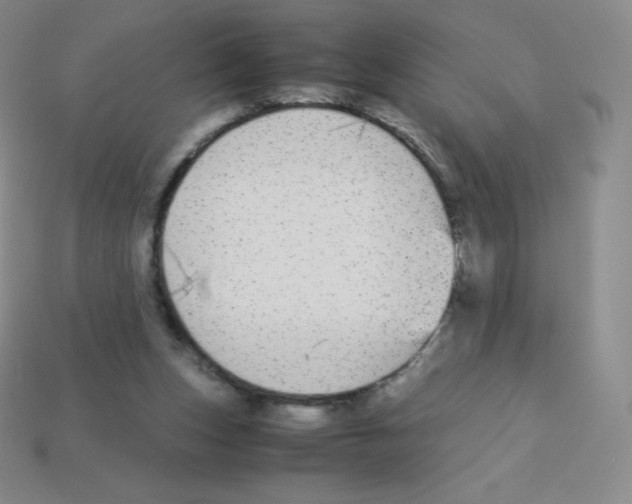 X0000113040159200910081218