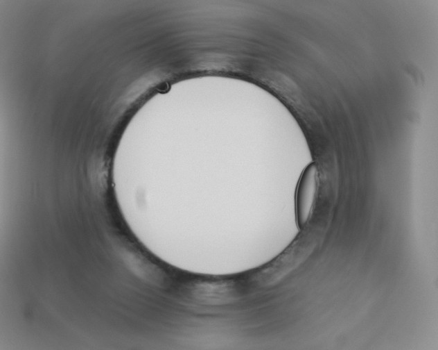 X0000113040160200910081218