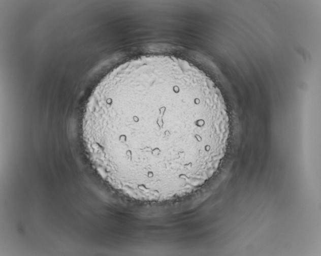 X0000113040161200910081218