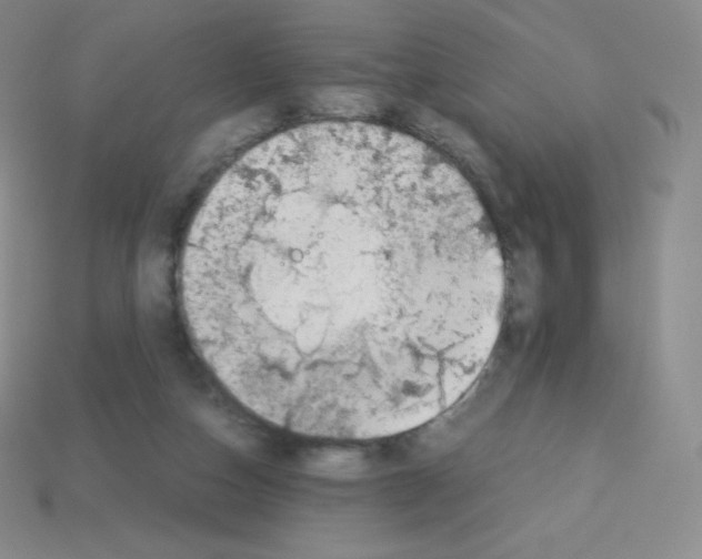 X0000113040162200910081218