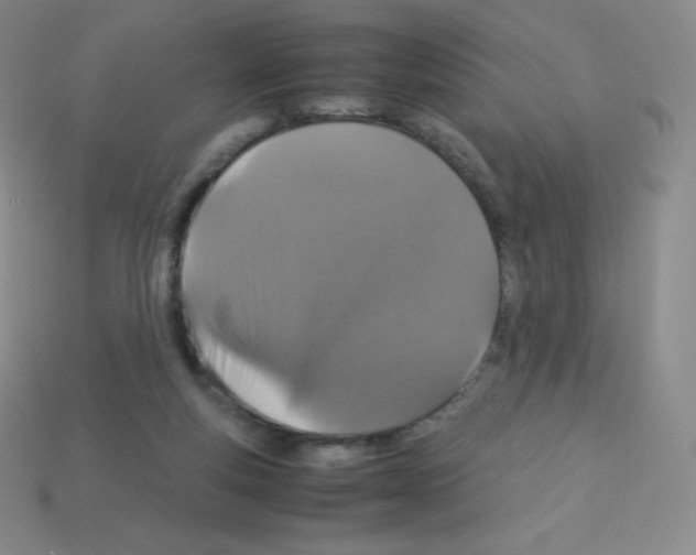 X0000113040163200910081218