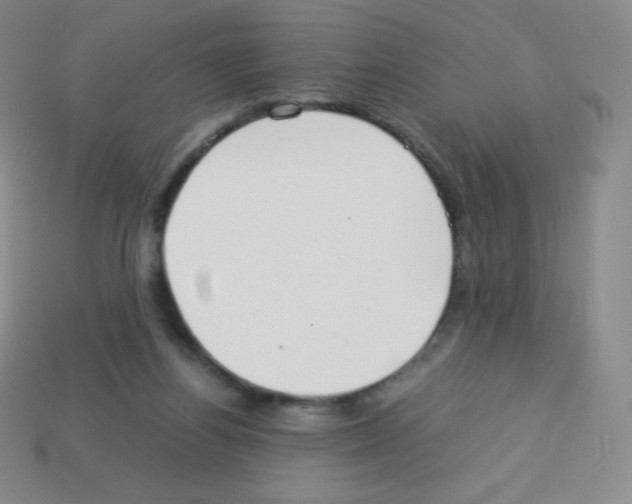 X0000113040164200910081218