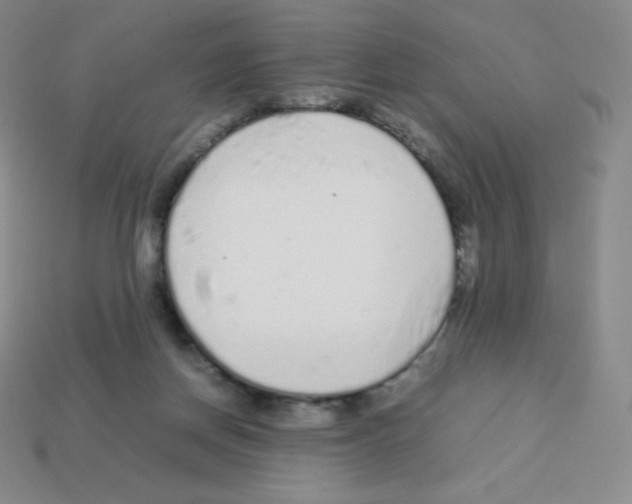 X0000113040166200910081218
