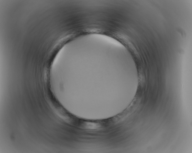 X0000113040167200910081218