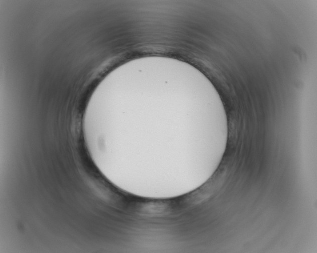 X0000113040168200910081218