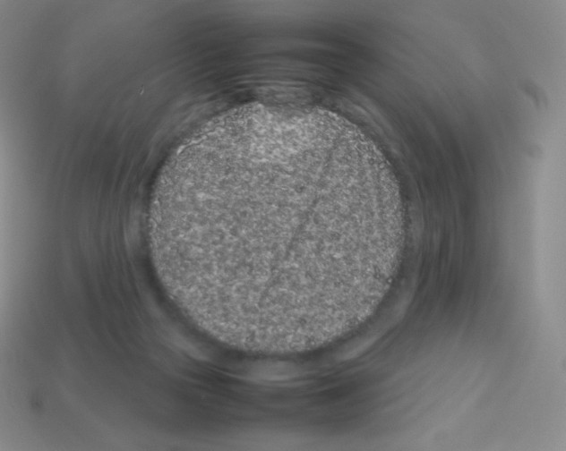 X0000113040169200910081218