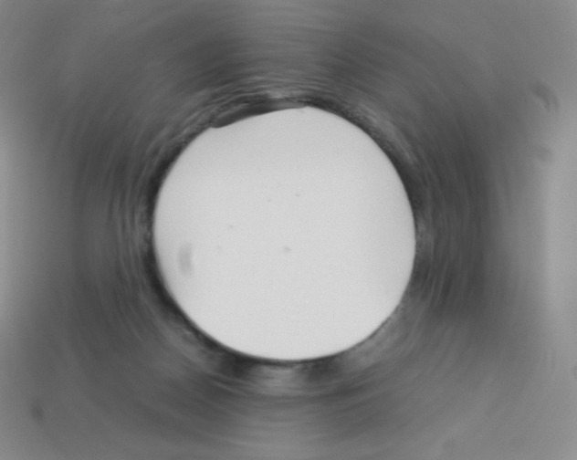 X0000113040170200910081218