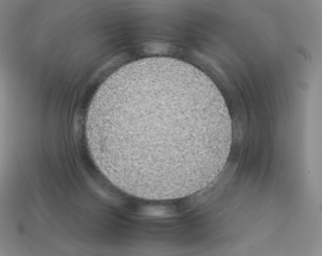 X0000113040171200910081218