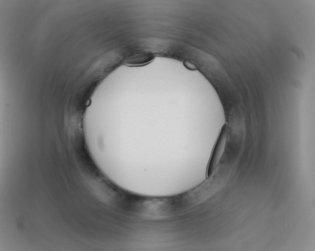 X0000113040172200910081218