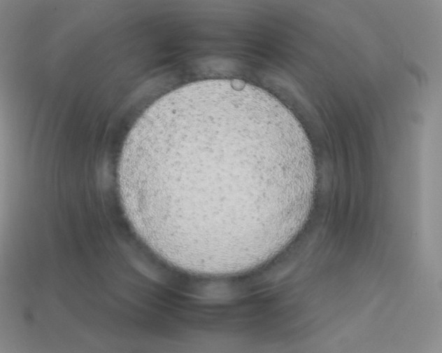 X0000113040173200910081218
