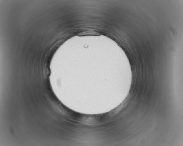 X0000113040174200910081218
