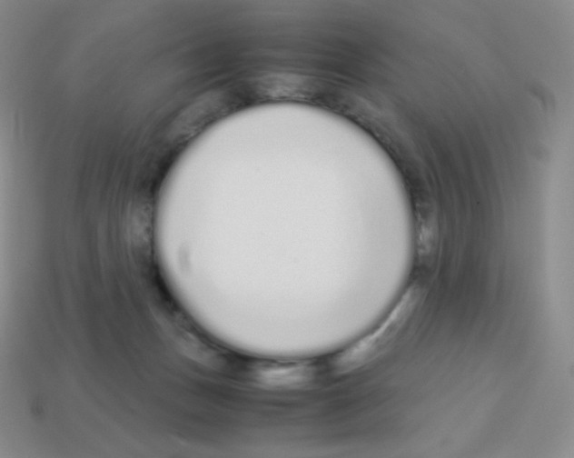 X0000113040175200910081218