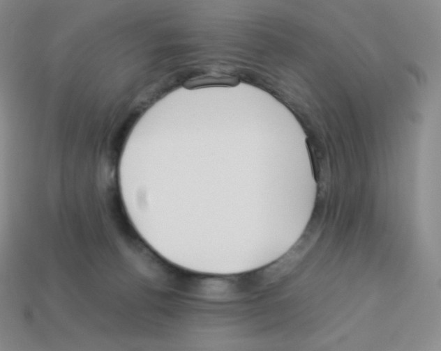 X0000113040176200910081218