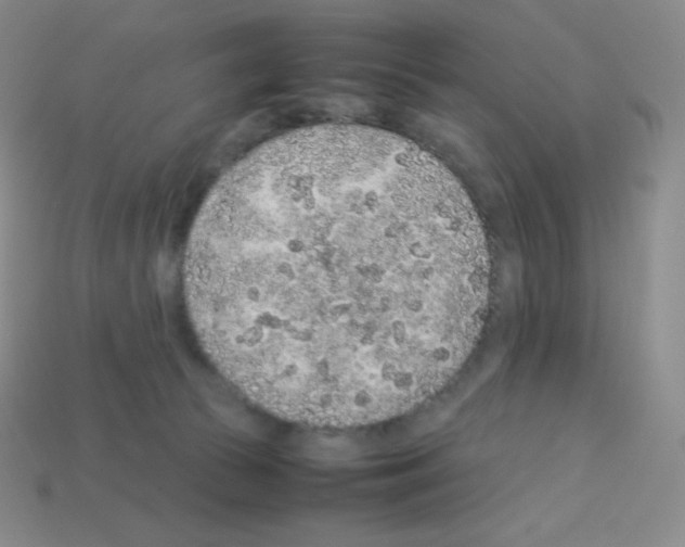 X0000113040177200910081218