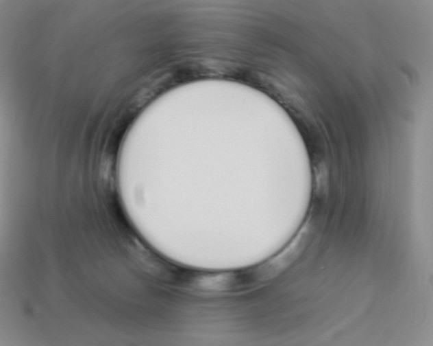 X0000113040178200910081218