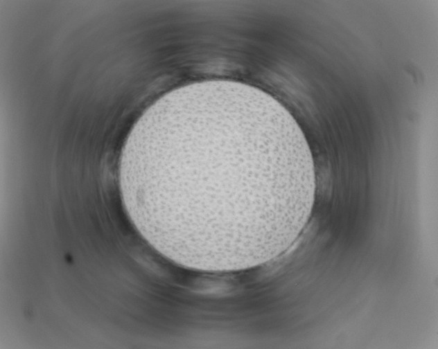 X0000113040179200910081218