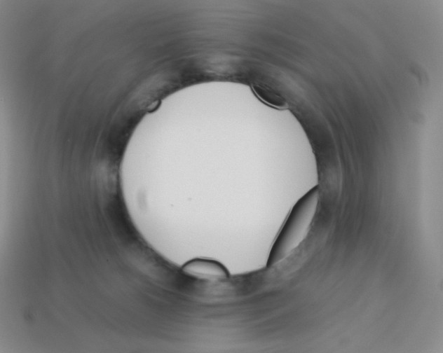 X0000113040180200910081218