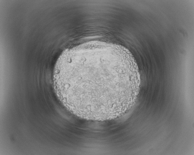 X0000113040182200910081218