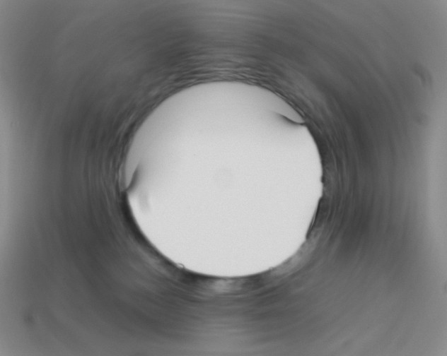 X0000113040184200910081218