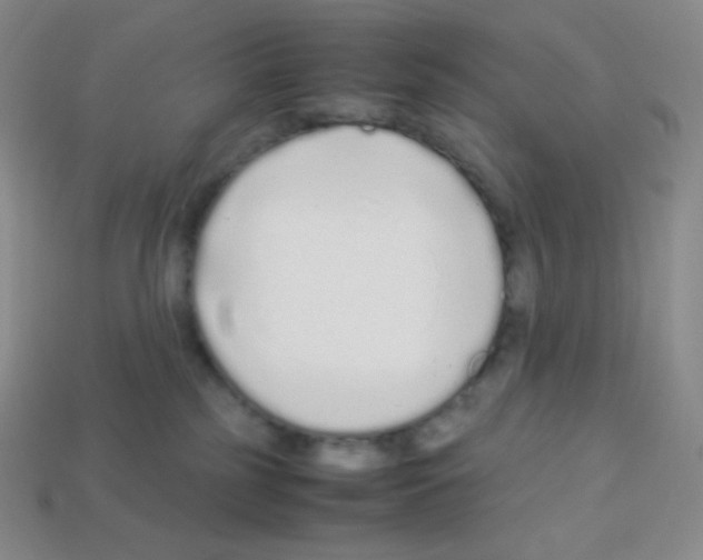 X0000113040185200910081218