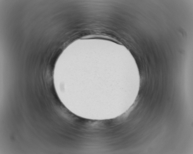 X0000113040186200910081218