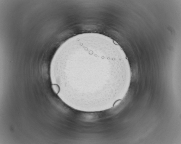 X0000113040187200910081218