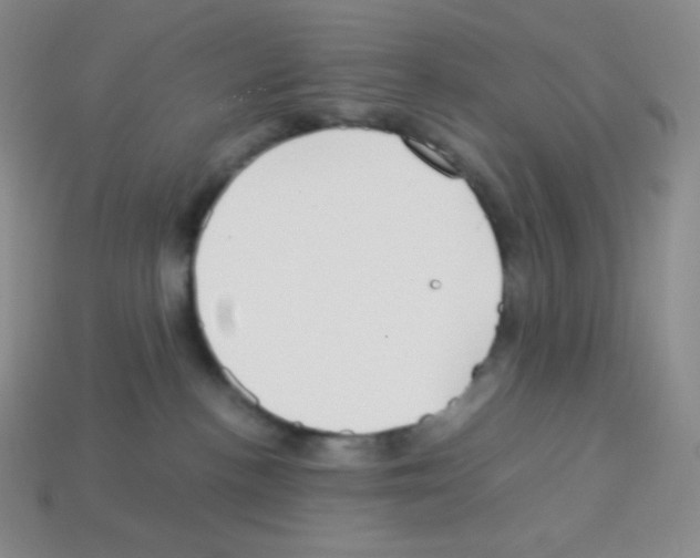 X0000113040188200910081218