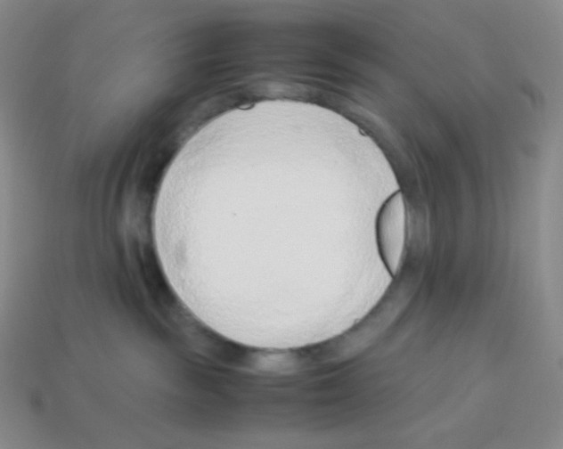 X0000113040189200910081218