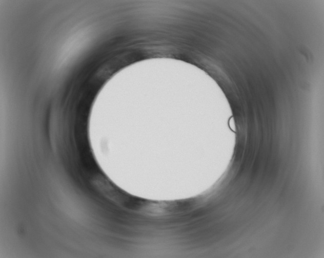 X0000113040190200910081218