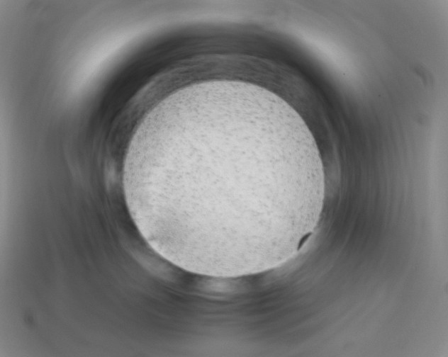 X0000113040191200910081218