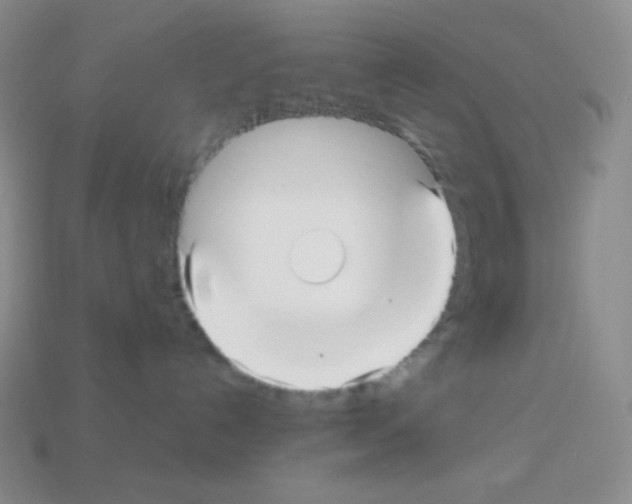 X0000113040192200910081218