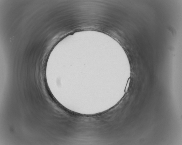 X0000113040193200910081218