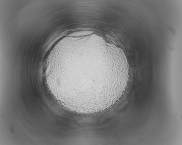 X0000113040194200910081218