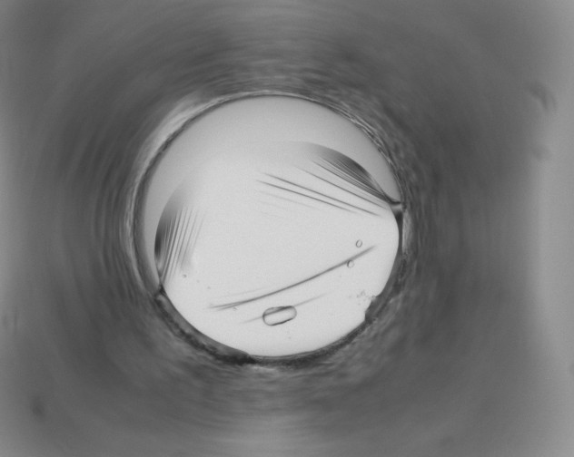 X0000113040195200910081218