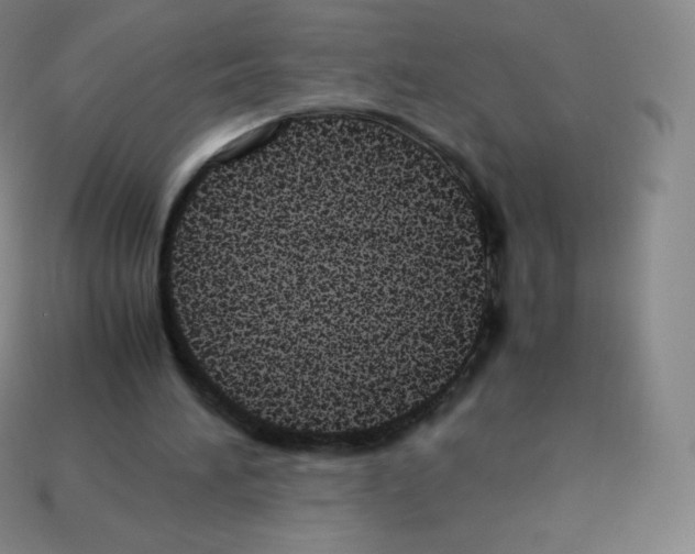X0000113040196200910081218