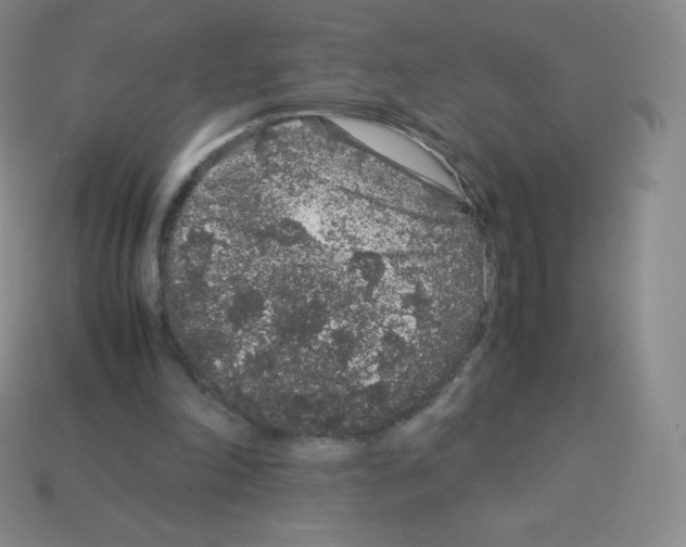 X0000113040198200910081218