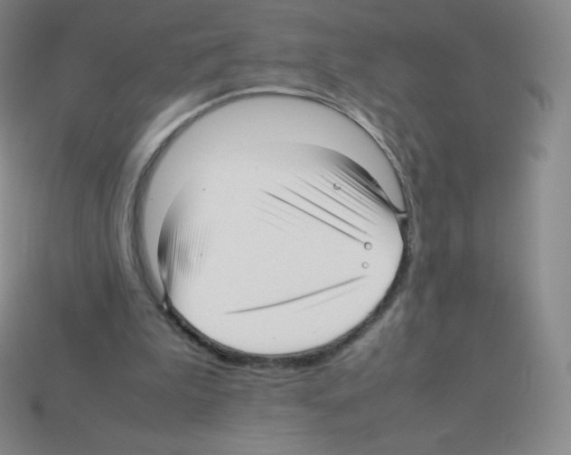 X0000113040199200910081218