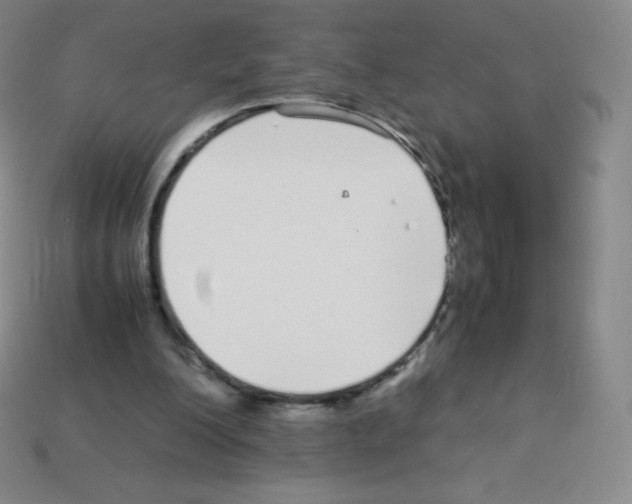 X0000113040200200910081218