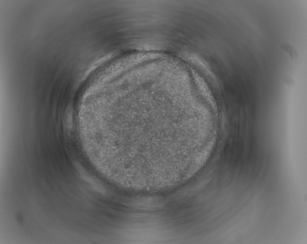 X0000113040202200910081218