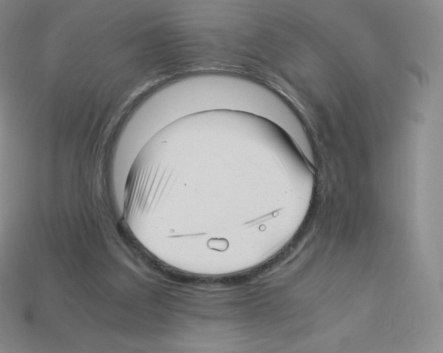 X0000113040203200910081218