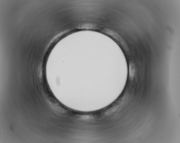 X0000113040204200910081218